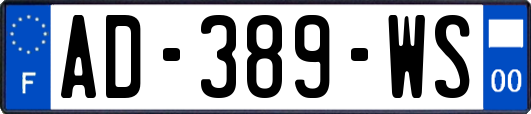 AD-389-WS