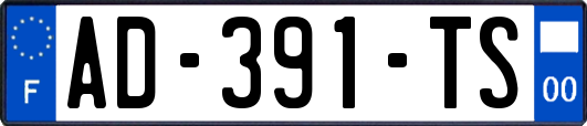 AD-391-TS