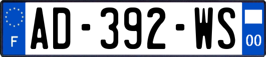 AD-392-WS
