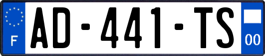 AD-441-TS