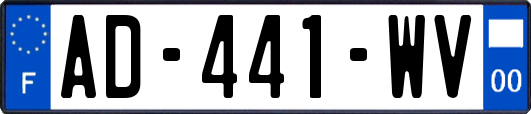 AD-441-WV