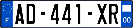 AD-441-XR