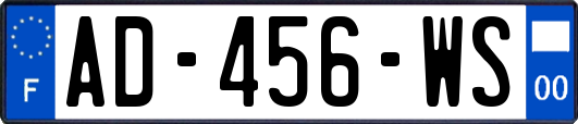 AD-456-WS