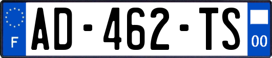 AD-462-TS