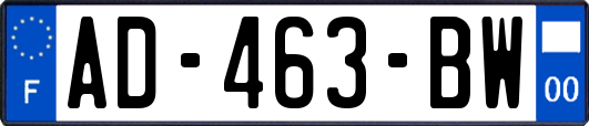 AD-463-BW