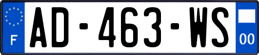 AD-463-WS