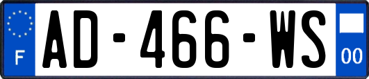 AD-466-WS