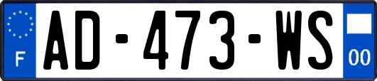 AD-473-WS