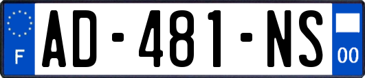 AD-481-NS