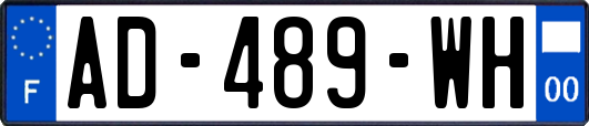 AD-489-WH