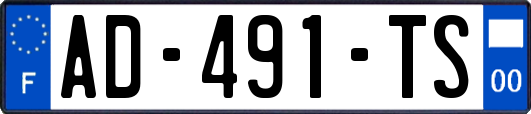 AD-491-TS