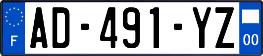 AD-491-YZ