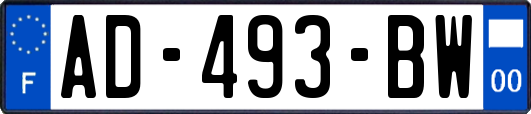 AD-493-BW