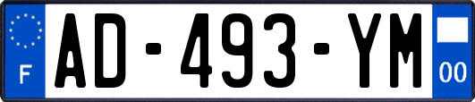 AD-493-YM
