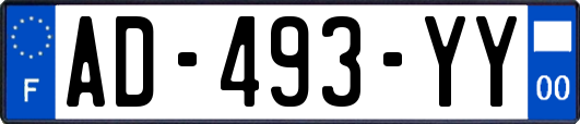 AD-493-YY