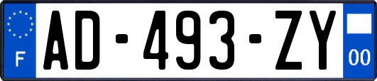 AD-493-ZY