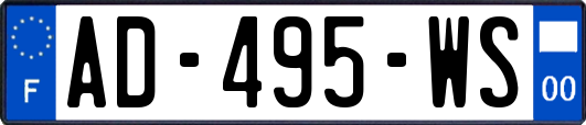 AD-495-WS