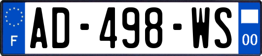 AD-498-WS