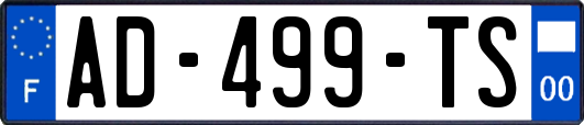 AD-499-TS