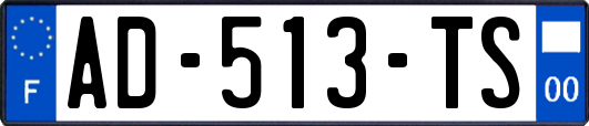 AD-513-TS