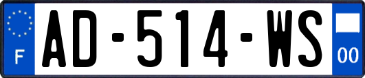 AD-514-WS