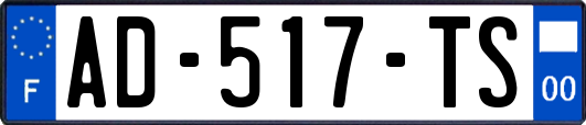 AD-517-TS