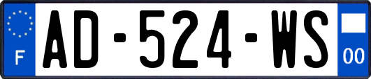 AD-524-WS