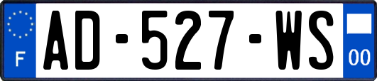 AD-527-WS