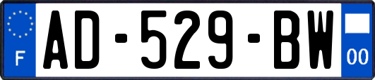 AD-529-BW