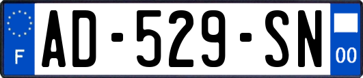 AD-529-SN