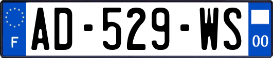AD-529-WS