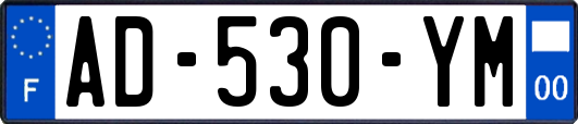 AD-530-YM