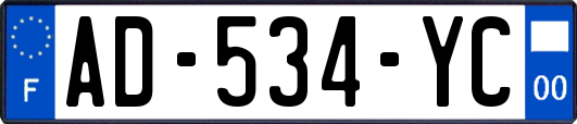 AD-534-YC