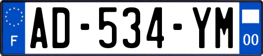 AD-534-YM