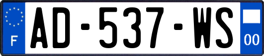 AD-537-WS