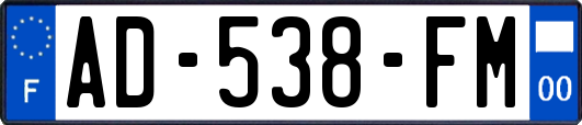 AD-538-FM