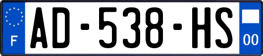 AD-538-HS