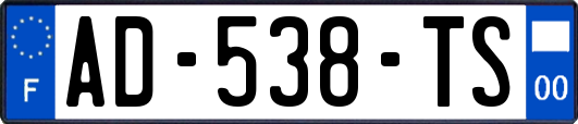 AD-538-TS