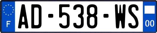 AD-538-WS