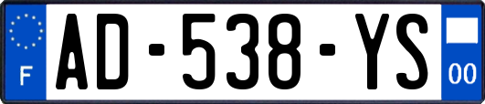 AD-538-YS