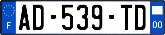 AD-539-TD