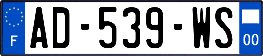 AD-539-WS