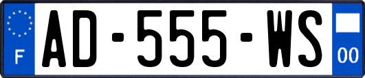 AD-555-WS