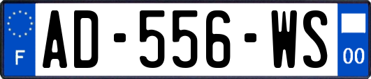 AD-556-WS