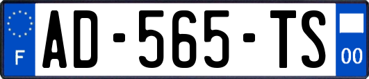 AD-565-TS