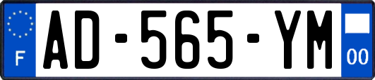 AD-565-YM