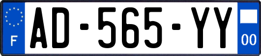 AD-565-YY
