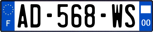 AD-568-WS