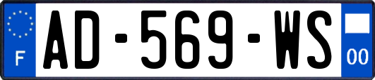 AD-569-WS