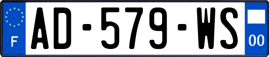 AD-579-WS